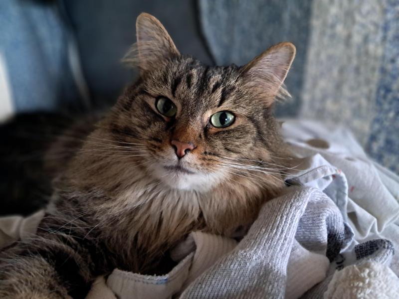 TuckersMom uploaded   329  day/s  ago