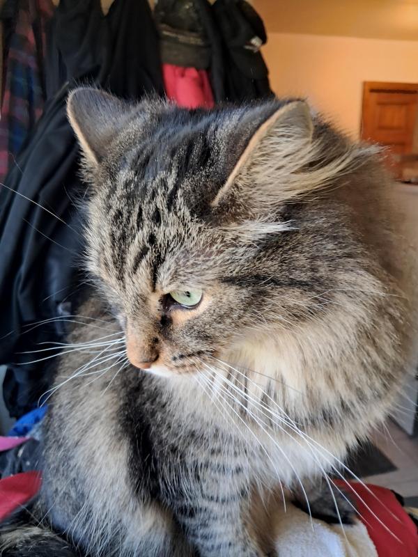 TuckersMom uploaded   1 year/s ago