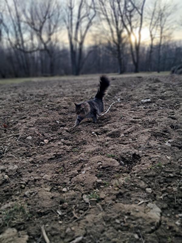 TuckersMom uploaded   1 year/s ago