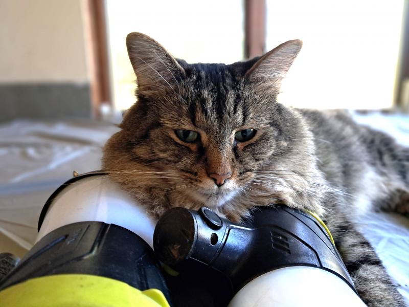 TuckersMom uploaded   212  day/s  ago