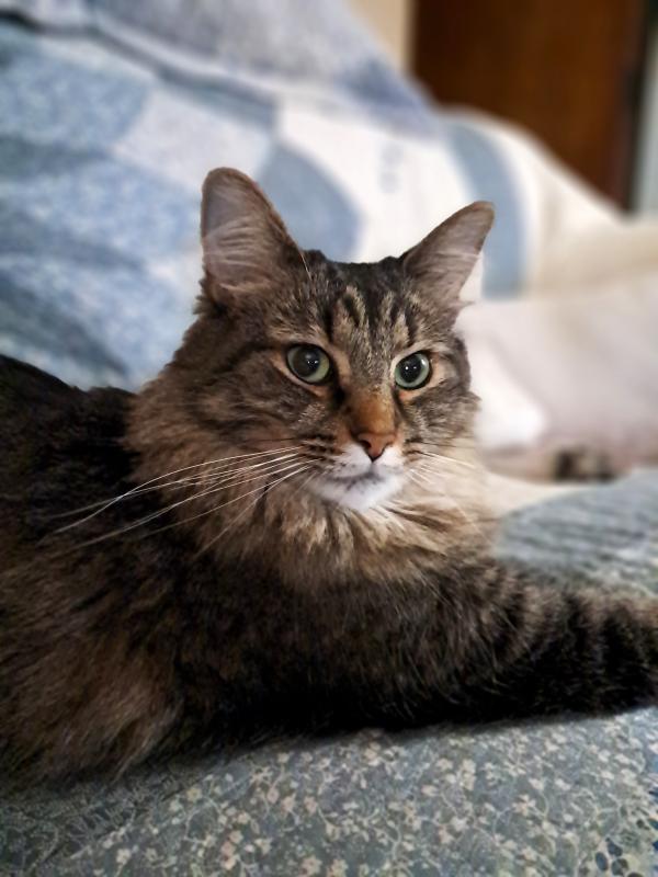 TuckersMom uploaded   211  day/s  ago