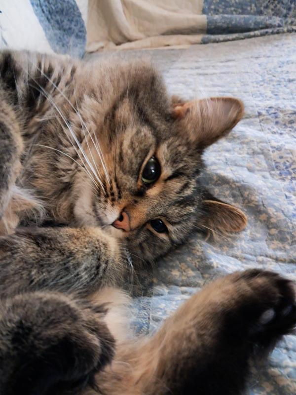 TuckersMom uploaded   93  day/s  ago