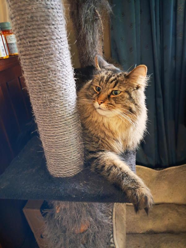 TuckersMom uploaded   83  day/s  ago