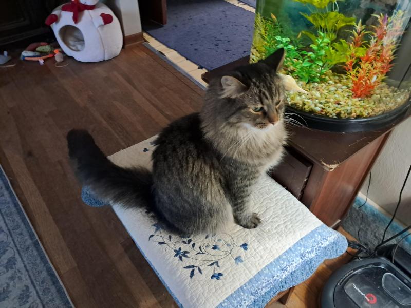 TuckersMom uploaded   1  day/s  ago