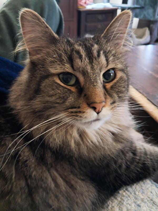 TuckersMom uploaded   2  day/s  ago