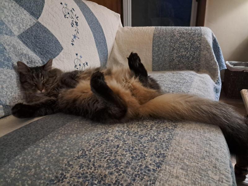 TuckersMom uploaded   58  day/s  ago