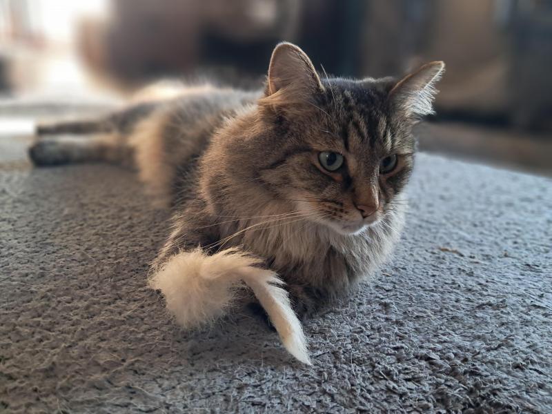 TuckersMom uploaded   150  day/s  ago