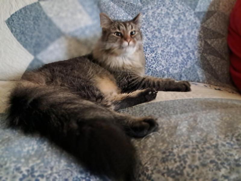 TuckersMom uploaded   143  day/s  ago