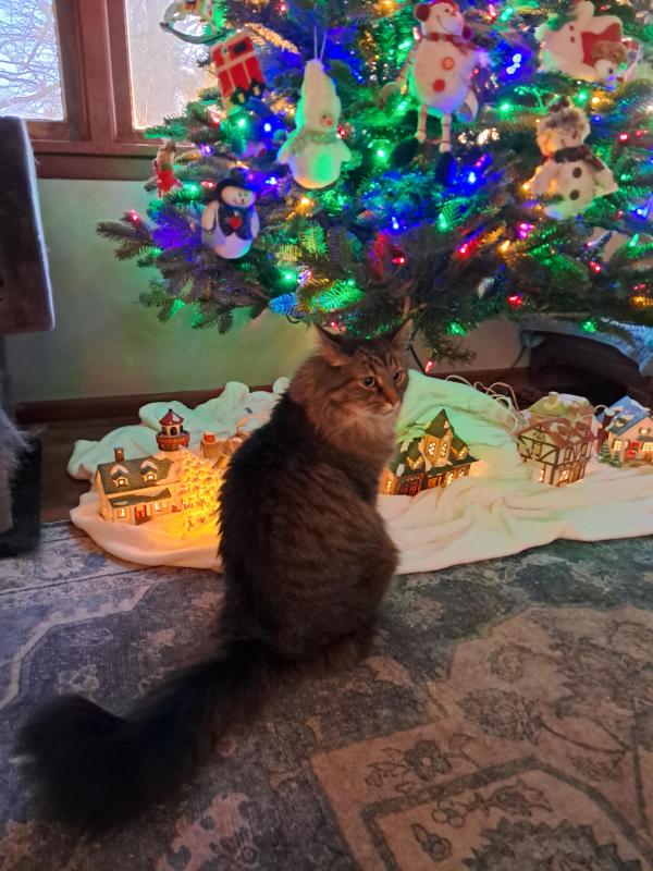 TuckersMom uploaded   120  day/s  ago