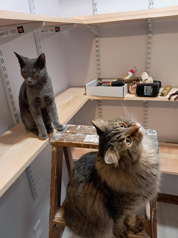 TuckersMom uploaded   1 year/s ago