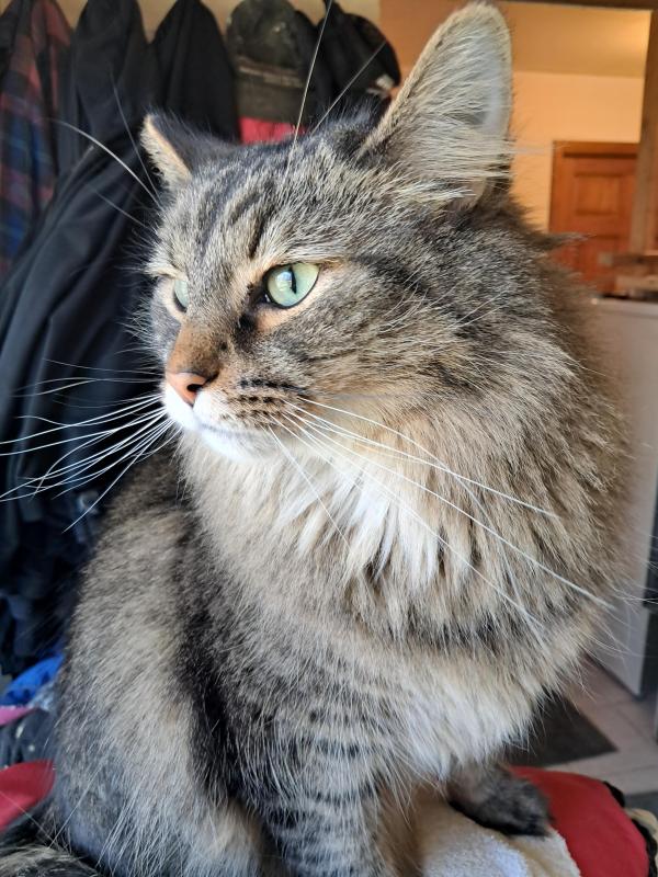 TuckersMom uploaded   1 year/s ago