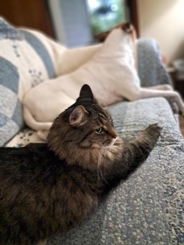 TuckersMom uploaded   211  day/s  ago