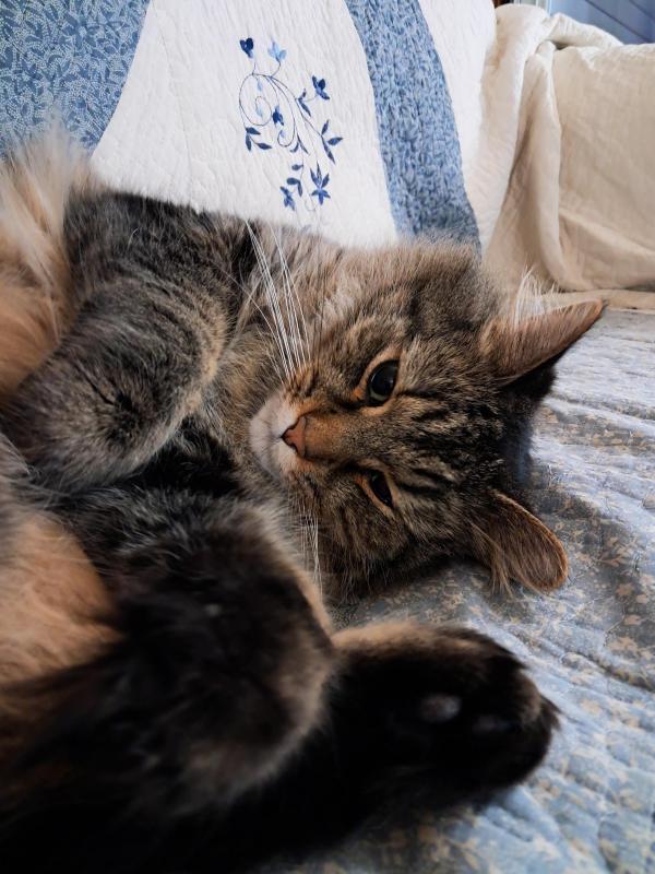 TuckersMom uploaded   93  day/s  ago