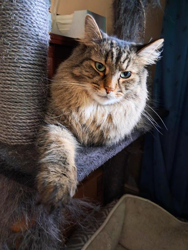 TuckersMom uploaded   83  day/s  ago