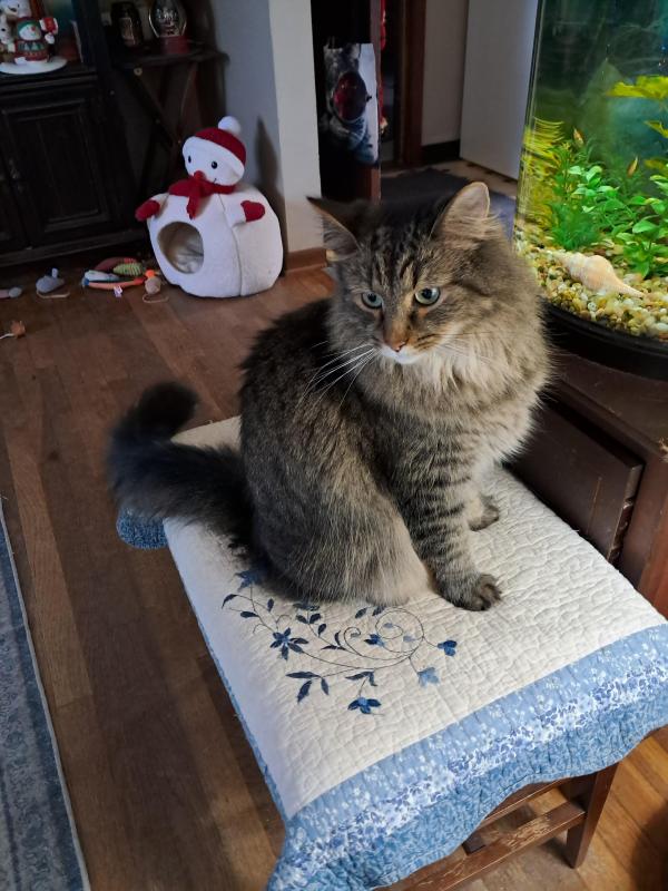 TuckersMom uploaded   1  day/s  ago