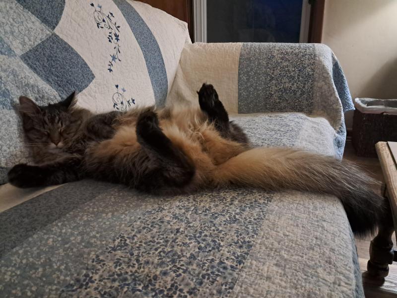 TuckersMom uploaded   58  day/s  ago