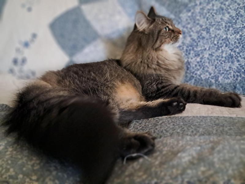 TuckersMom uploaded   143  day/s  ago