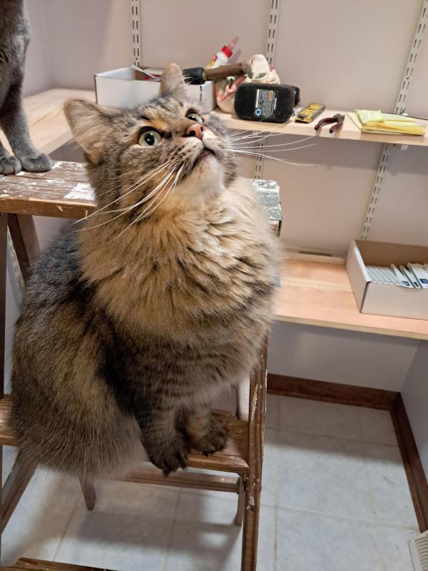 TuckersMom uploaded   1 year/s ago