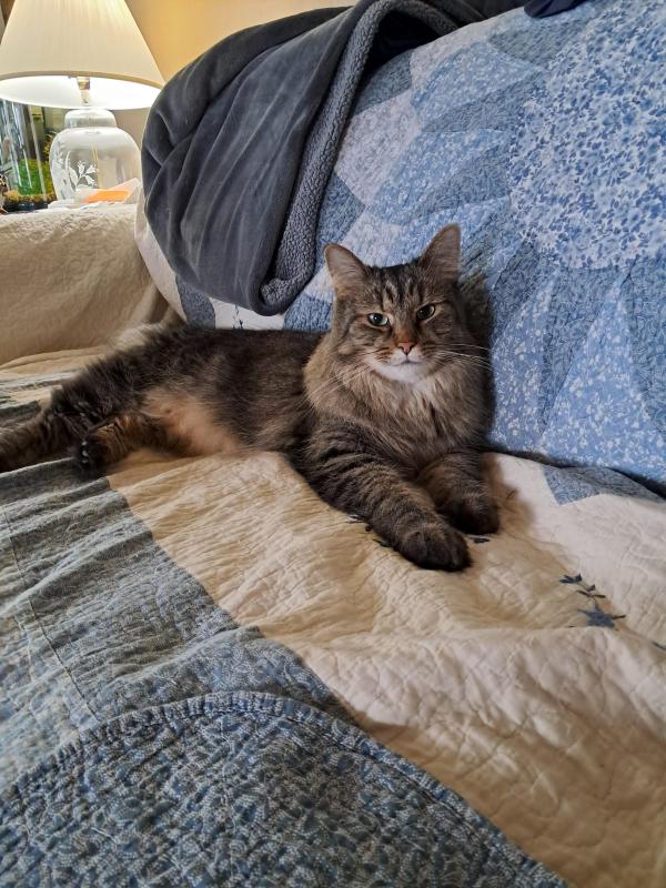 TuckersMom uploaded   93  day/s  ago