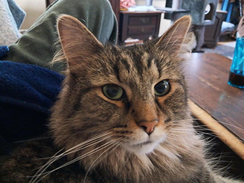 TuckersMom uploaded   2  day/s  ago