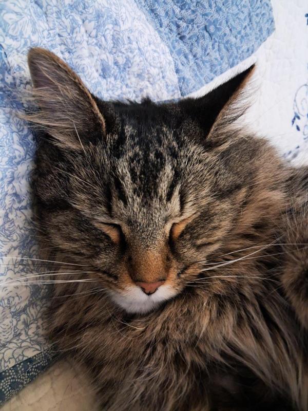 TuckersMom uploaded   58  day/s  ago