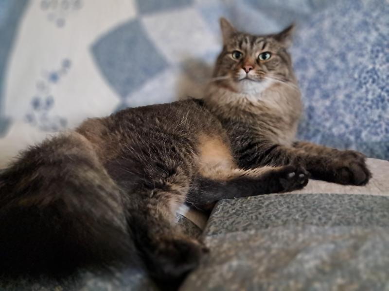 TuckersMom uploaded   71  day/s  ago