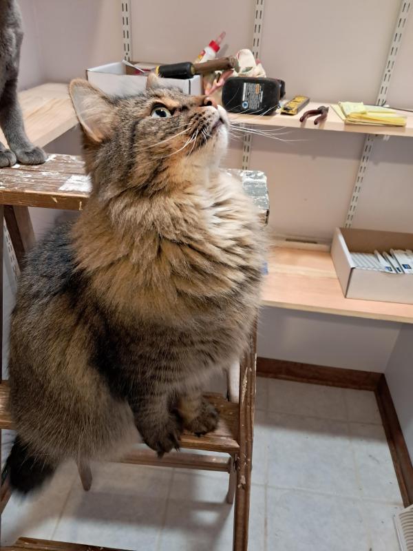 TuckersMom uploaded   1 year/s ago