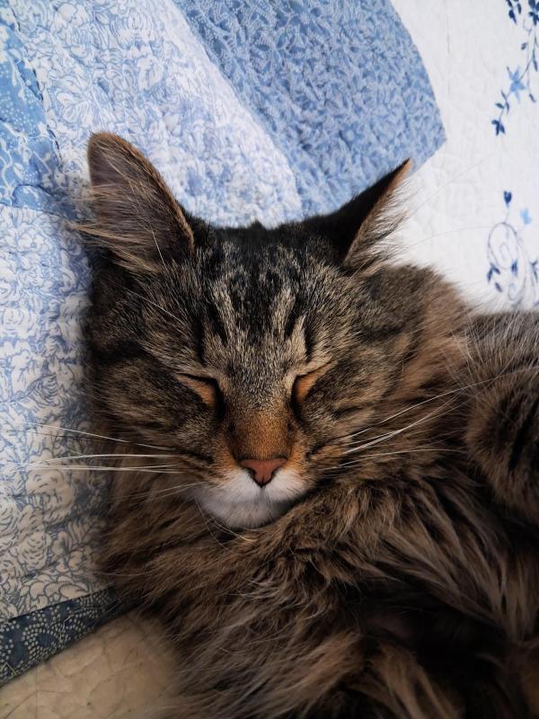 TuckersMom uploaded   58  day/s  ago