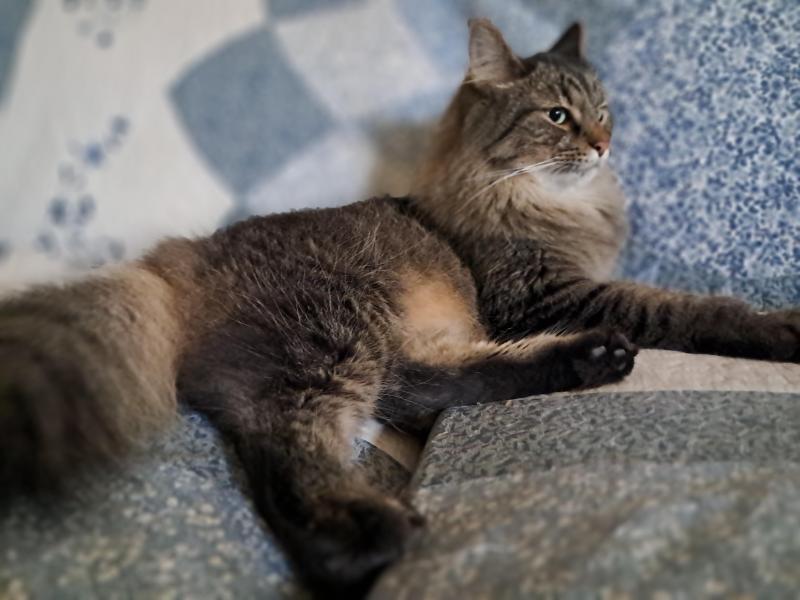 TuckersMom uploaded   143  day/s  ago