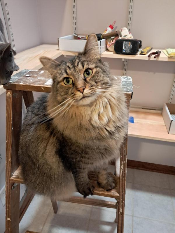 TuckersMom uploaded   357  day/s  ago