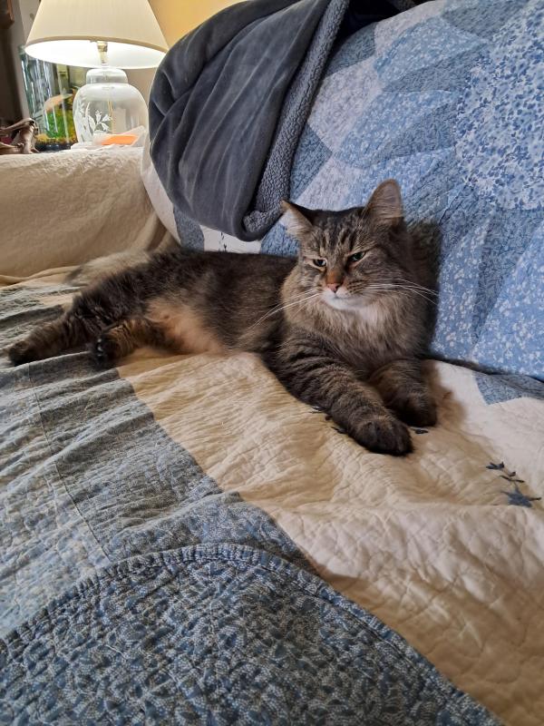 TuckersMom uploaded   93  day/s  ago