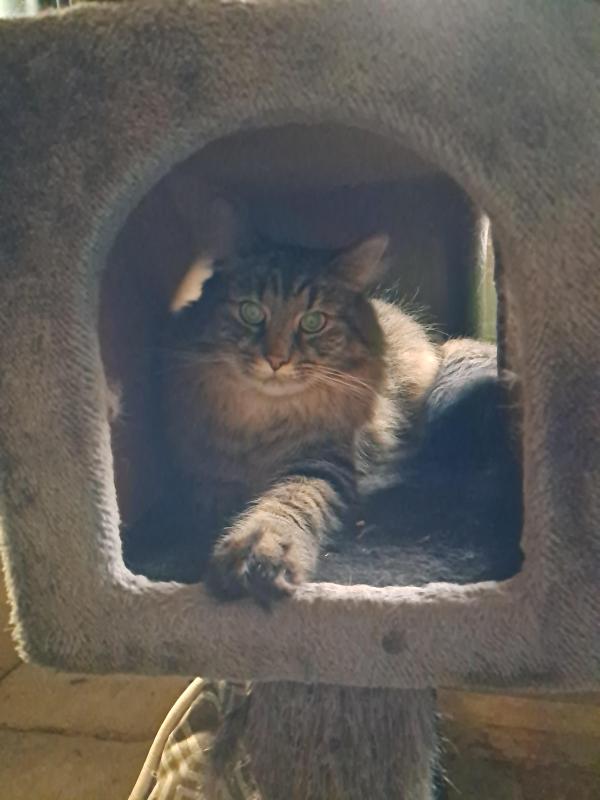 TuckersMom uploaded   143  day/s  ago