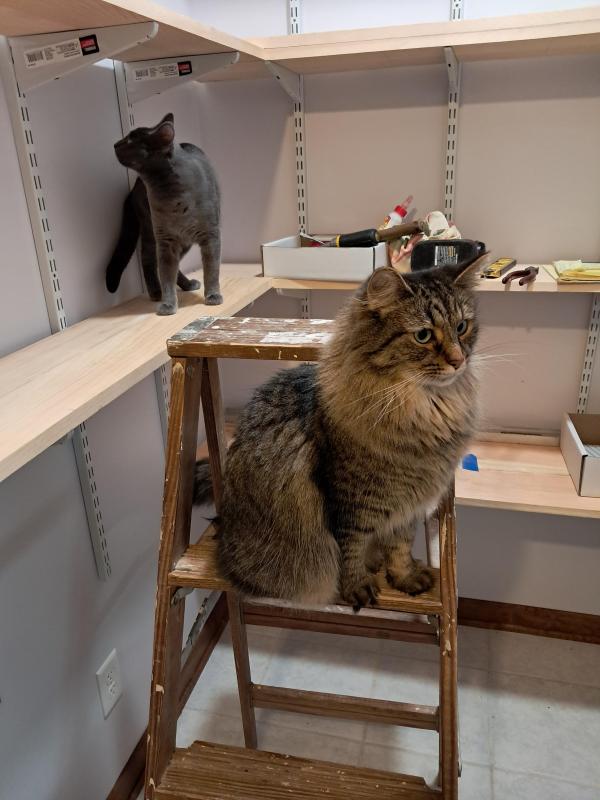 TuckersMom uploaded   1 year/s ago