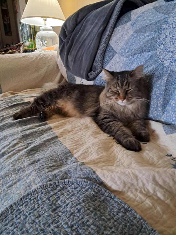 TuckersMom uploaded   93  day/s  ago