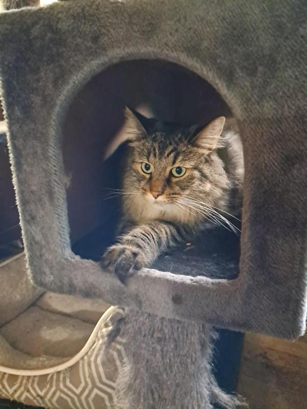 TuckersMom uploaded   143  day/s  ago