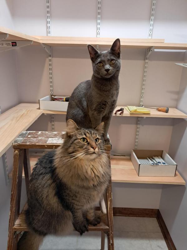 TuckersMom uploaded   1 year/s ago