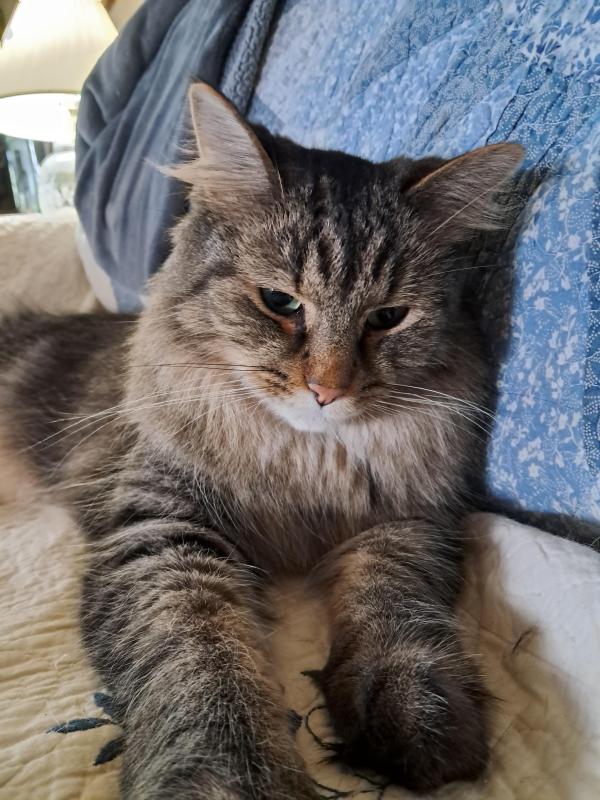 TuckersMom uploaded   93  day/s  ago