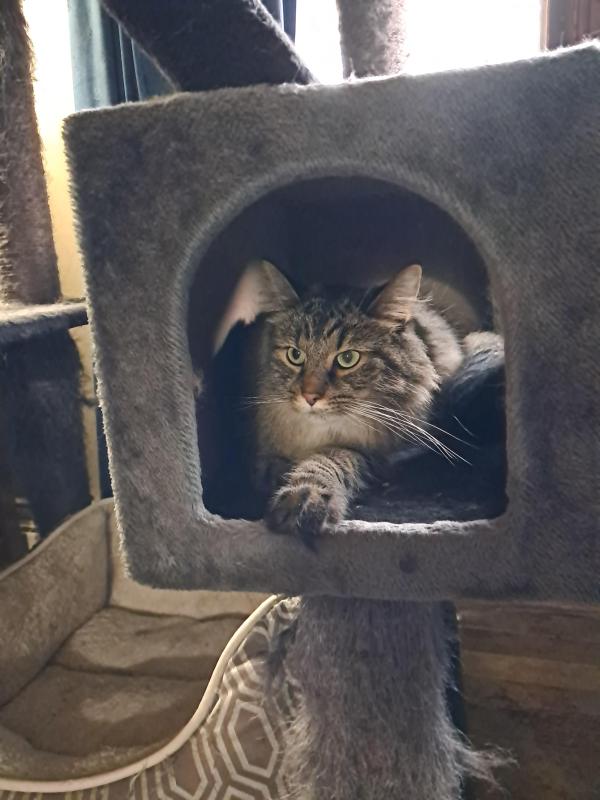 TuckersMom uploaded   143  day/s  ago