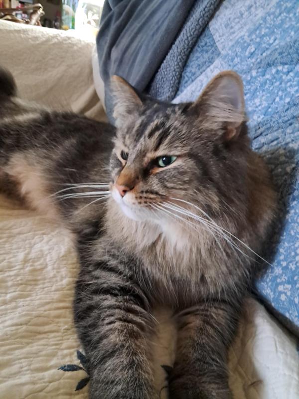 TuckersMom uploaded   93  day/s  ago