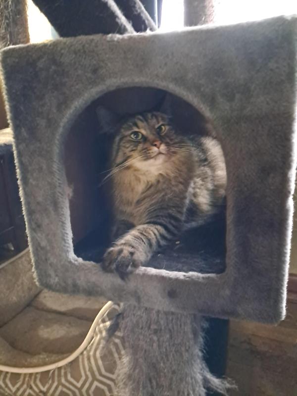 TuckersMom uploaded   143  day/s  ago