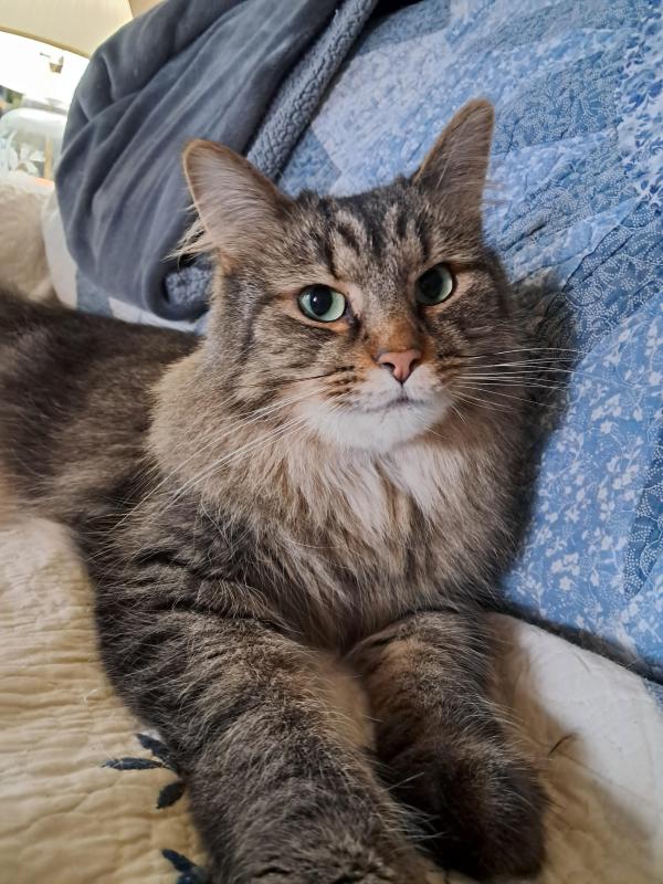 TuckersMom uploaded   93  day/s  ago