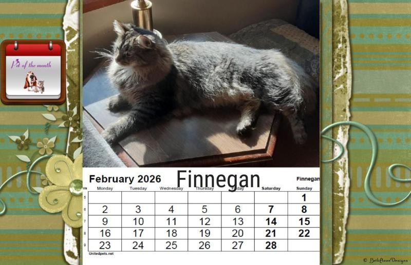 TuckersMom uploaded   81  day/s  ago