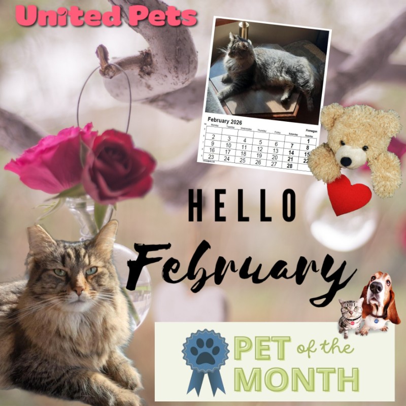 TuckersMom uploaded   51  day/s  ago