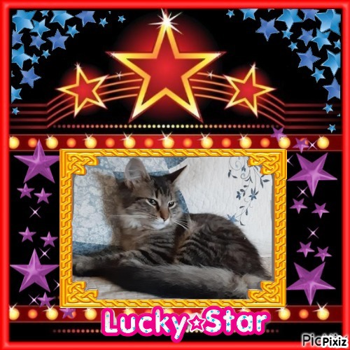 TuckersMom uploaded   51  day/s  ago