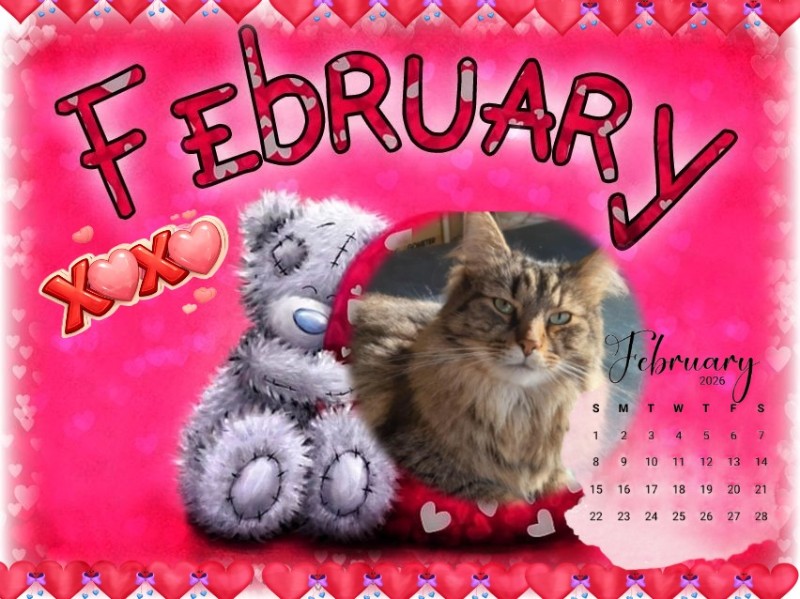 TuckersMom uploaded   51  day/s  ago