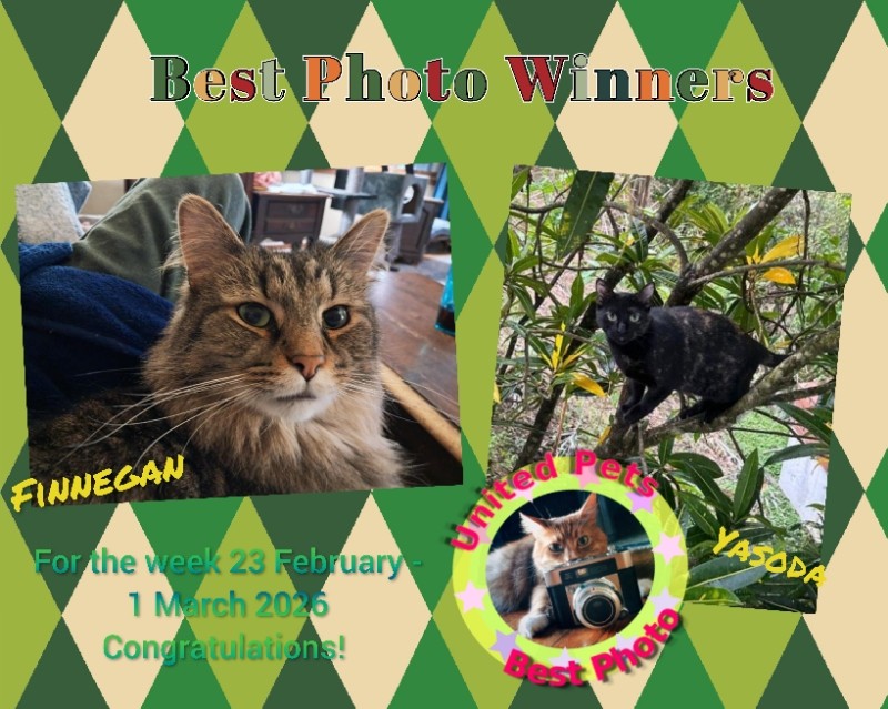 TuckersMom uploaded   51  day/s  ago