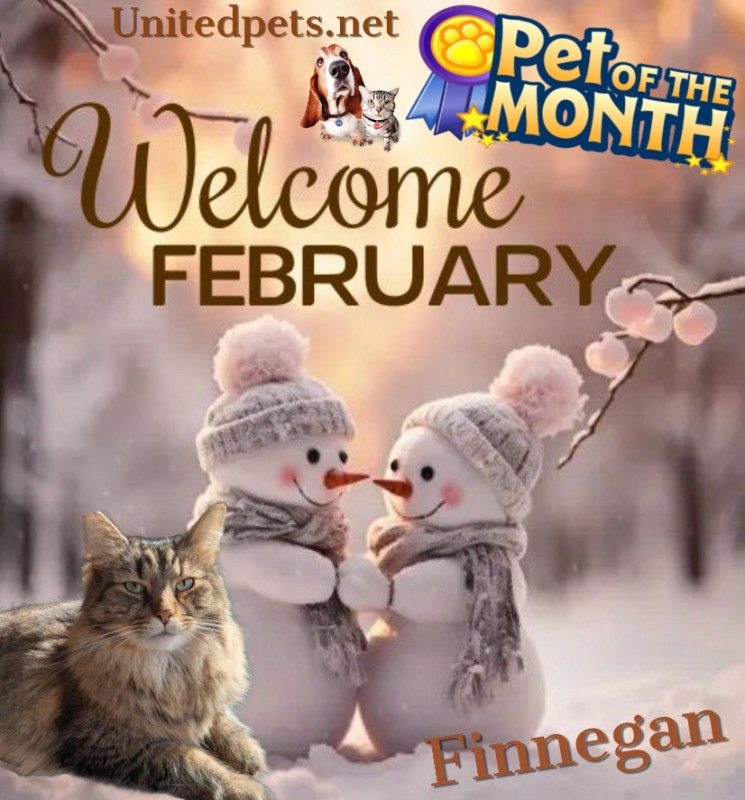 TuckersMom uploaded   51  day/s  ago