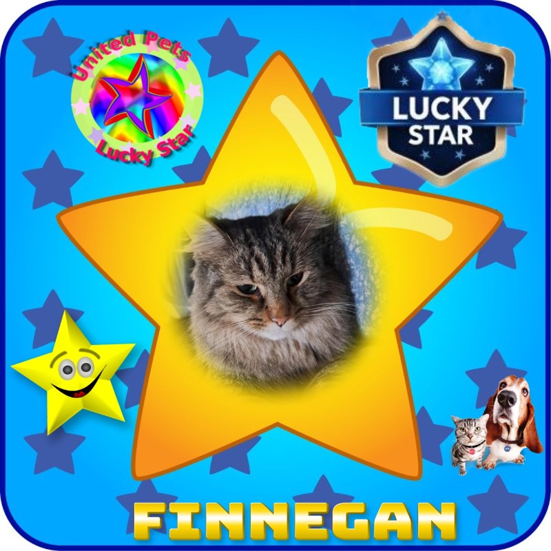 TuckersMom uploaded   51  day/s  ago