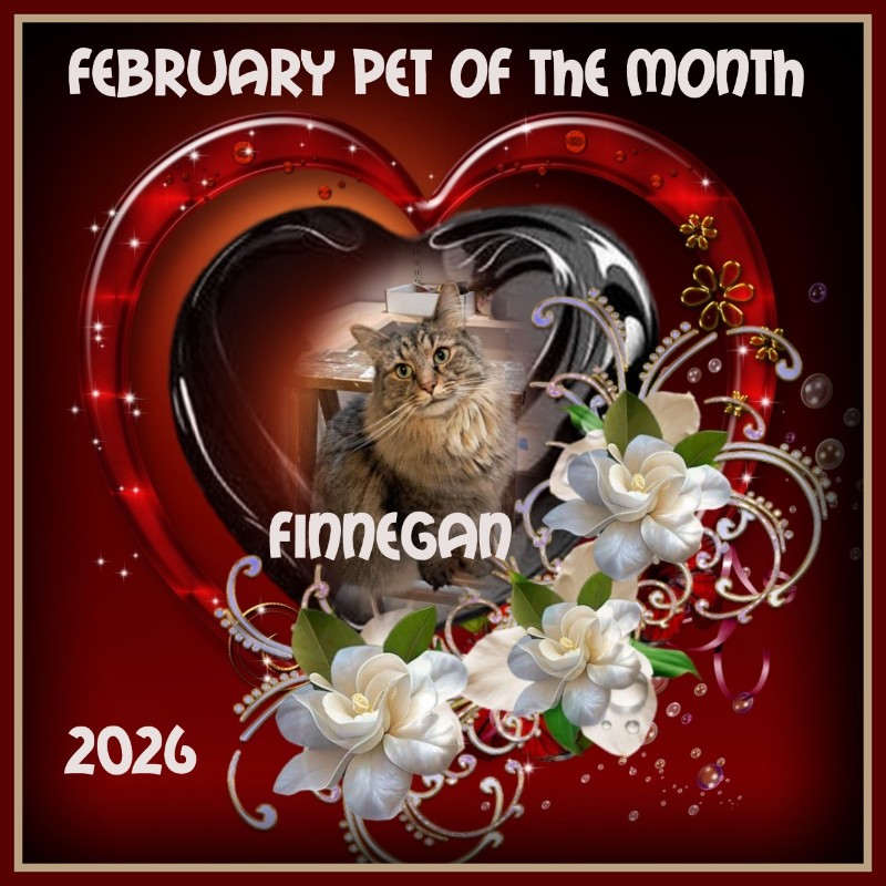 TuckersMom uploaded   51  day/s  ago