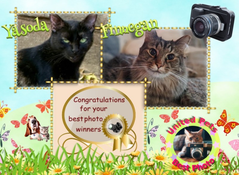 TuckersMom uploaded   27  day/s  ago